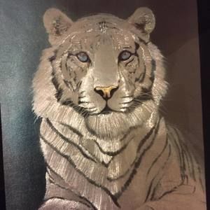 Meet your Posher, Reinaldo